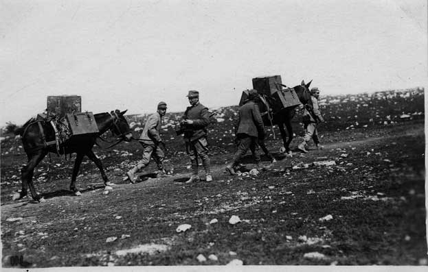 Rubrica in Convento 01-Storia-d'armi-foto-archivio-provinciale