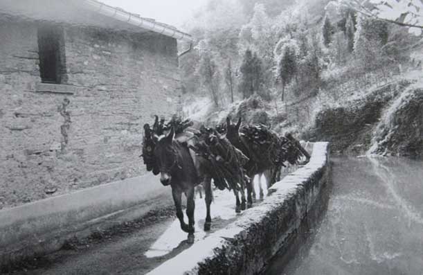 Rubrica in Convento 02-Storia-d'armi-foto-archivio-provinciale-2